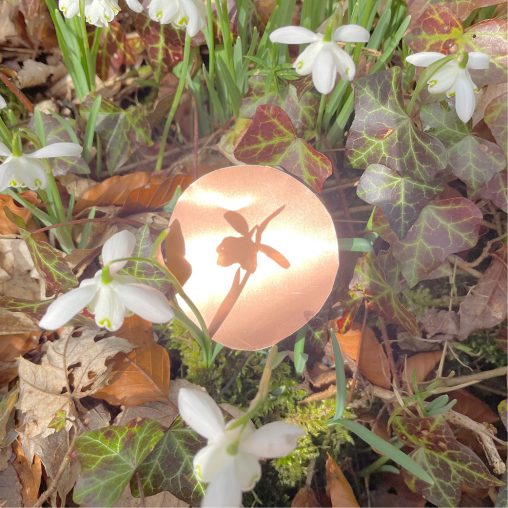 copper circle in woodland